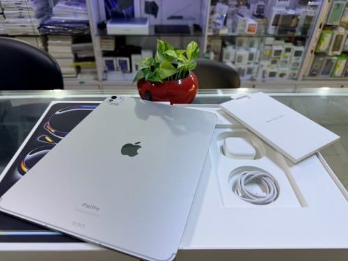 iPad Pro M4 13” 256 + eSIM