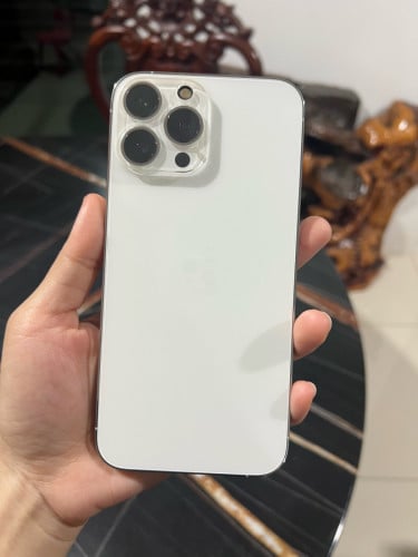 iPhone 13 Pro max 256GB (470$)