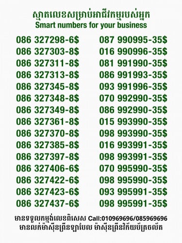 Smart លេខសម្រាប់អាជីវកម្ម