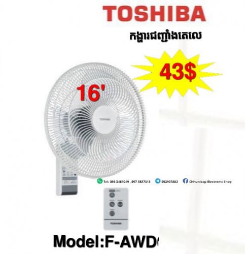 Toshiba fan wall