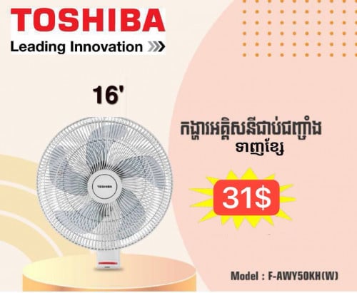 Toshiba fan wall