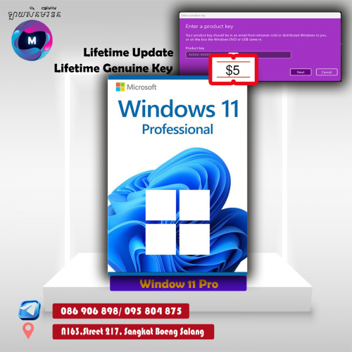 window 10/11/7/8 pro lifetime license