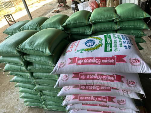 សម្រាប់បងប្អូនមានតម្រូវការអង្ករជំនួយដែលមានតម្លៃសមរម្យអាចទាក់ទងមកបាន️ធានាអង្ករកិនថ្មីៗ