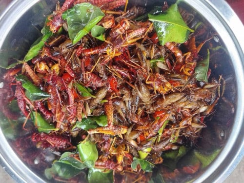 កណ្ដូបព_ង