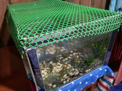 ទូត្រីមួយទឹក Fish Tank