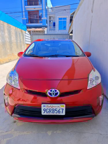 សេះក្រហម Prius 013 Option 4 ក្រដាសពន្ធ ក្នុងលឿង