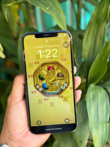 12PM 128G LL/A នៅស្កែន