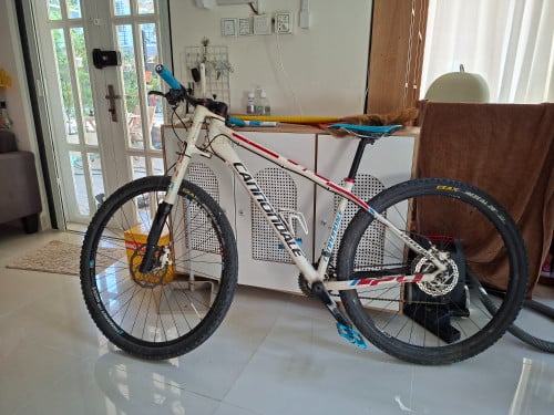 Cannondale lefty f29 1