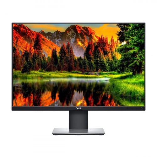 Dell 24” P2421