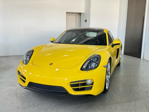 𝟐𝟎𝟏𝟒 𝐏𝐎𝐑𝐒𝐂𝐇𝐄 𝟗𝟖𝟏 𝐂𝐀𝐘𝐌𝐀𝐍 𝐅𝐔𝐋𝐋 𝐎𝐏𝐓𝐈𝐎𝐍