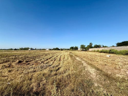 ដីកែងលក់បន្ទាន់ | ទីតាំងល្អ ជិតវត្តភ្នៀត