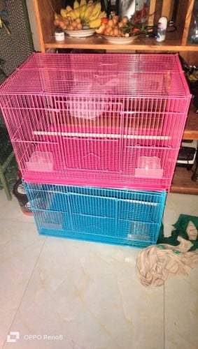 ទ្រុងស្អាតមាំ