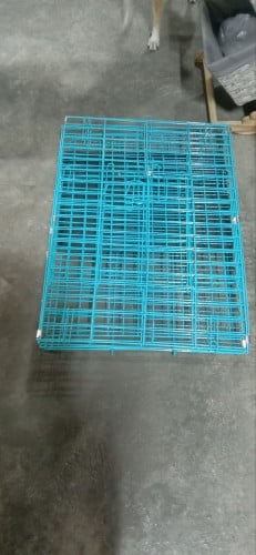 ទ្រុងមាំ