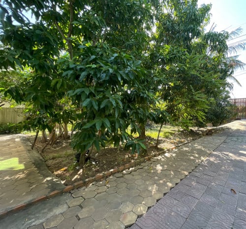 ដីលក់បន្ទាន់ នៅក្រោយផ្លូវជាតិ 6អា -S349