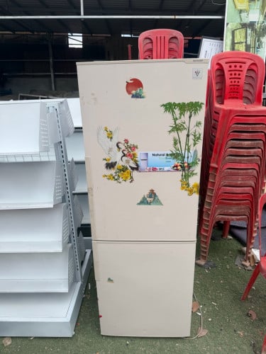 ទូរទឹកកកsharkទ្វារ2