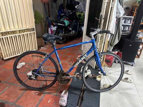 Giant ជប៉ុន