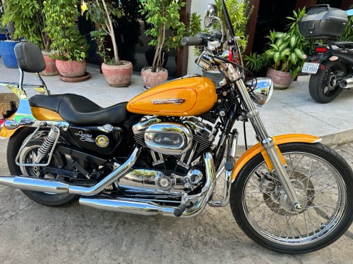 Harley  Davidson 1200XL ពន្ធពេញឆ្នាំថ្មីស្អាត99%