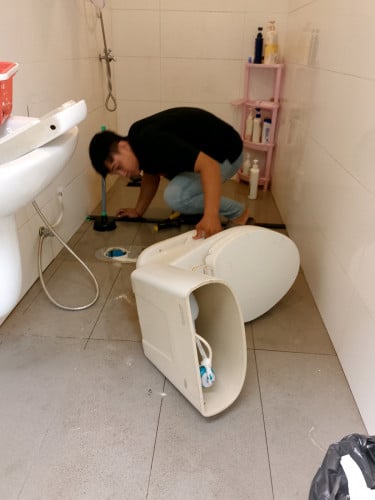 Install a new toilet bowl.