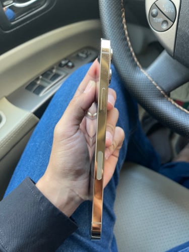 iPhone 12 Pro Max Gold LLA