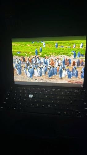 Surface pro 6 ខូចថាច់ អត់មាន key R តែចុចបាន