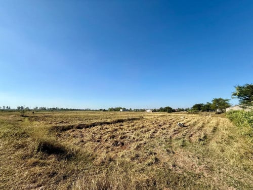 Urgent Corner Land for Sale | Prime Location Near Phniet Pagoda