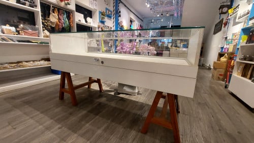 Used goods sales display case