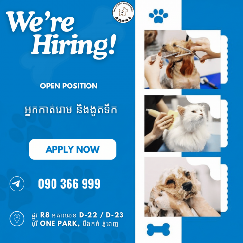 ជ្រេីសរេីសអ្នកកាត់រោម និងងូតទឹកសត្វចិញ្ចឹម