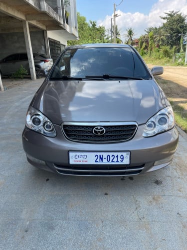 ធានាទ្បានស្អាតឯកសារម្ចាស់ដេីម