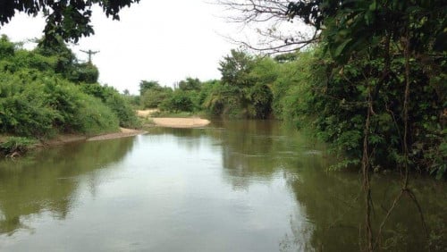 ដីលំហែជាប់ស្ទឹងព្រែកត្នោត ស្រុកឱរ៉ាល់ ខេត្តកំពង់ស្ពឺ សម្រាប់លក់ 4.5$/ម៉ែត្រការ៉េ (អាចចរចាបាន)