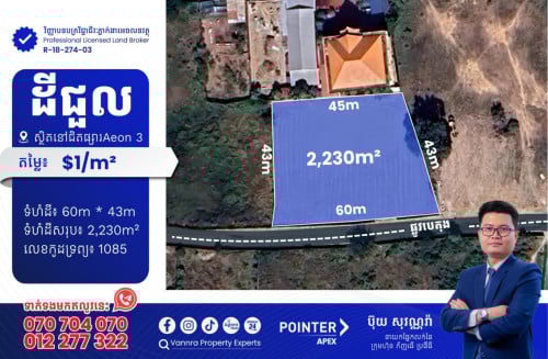 ដីជួលនៅជិតផ្សារAeon3