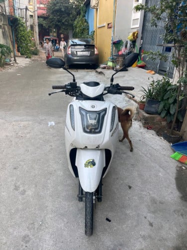 Ginino 022 ឯកសារគ្រប់