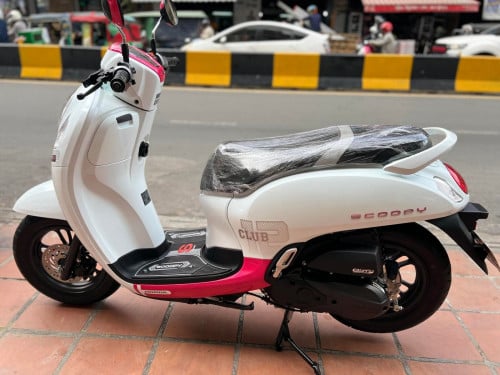 Honda scooyi