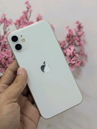 iPhone 11 bypass WiFi