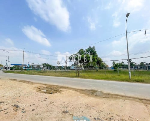 Land for rent st.50m