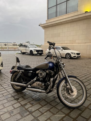 Sportster XL1200 Custom 2007