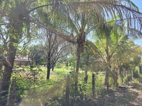 ដីលំនៅឋានលក់