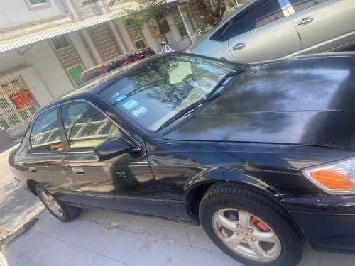 ឆ្លាម97លក់