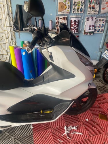 ម្ចាស់ដើម