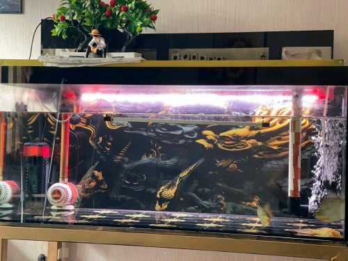 🐟 លក់អាងត្រី 100x40x40 + គ្រឿង accessories ពេញស្រេច – $280 (ចរចាបាន)