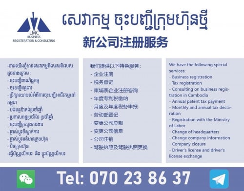 New company registration and tax declaration