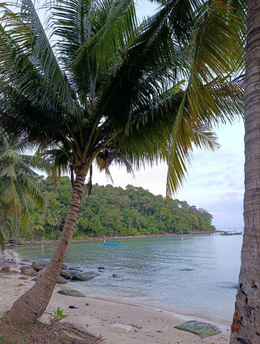 Prime Beachfront Land for Sale — Samloem Island, Cambodia