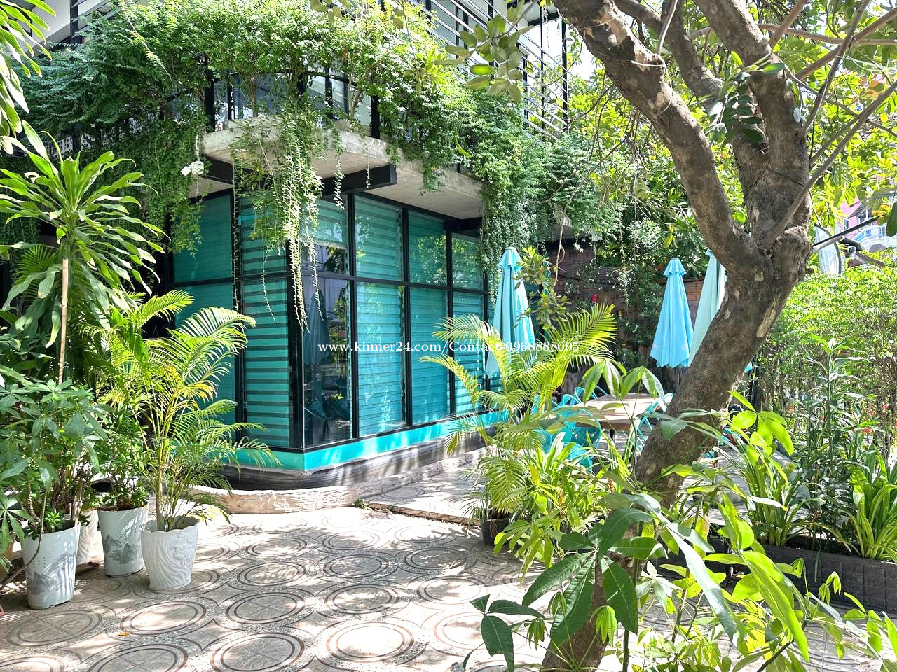 ផ្ទះអាជីវកម្មហាង | Shop House for Rent - Toul Tompong