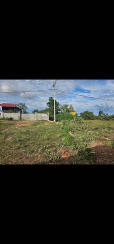 ដីលក់បន្ទាន់