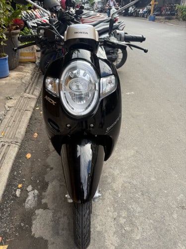 ថ្មីមិនដែលជួប