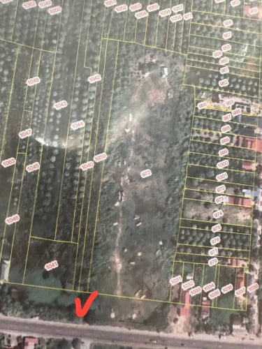 ដីលក់ជាប់ផ្លូវជាតិលេខ1