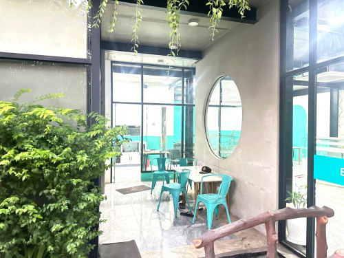 ផ្ទះអាជីវកម្មហាង | Shop House for Rent - Toul Tompong