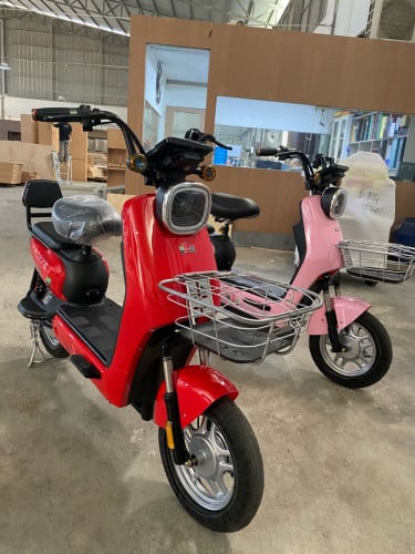 ម៉ូឌែល V8 អាគុយ48V20Ahមានកាធានា