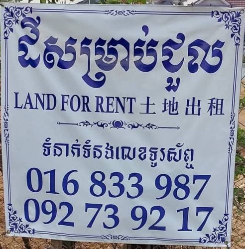 Land for rent (10x30m)