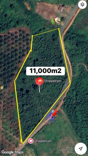 ដីខ្ពស់ធ្វើResort ឬធ្វើចំការបាន