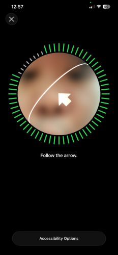 iPhone 12 Pro Max ($286)